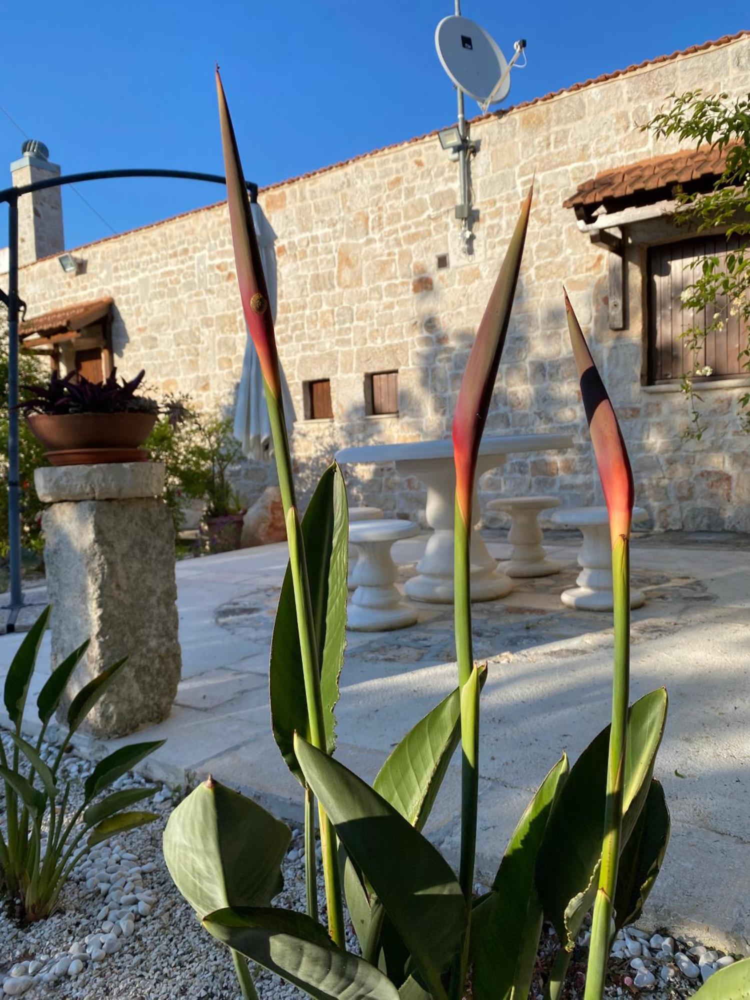 Trulli And Nature Antonelli Rum bild