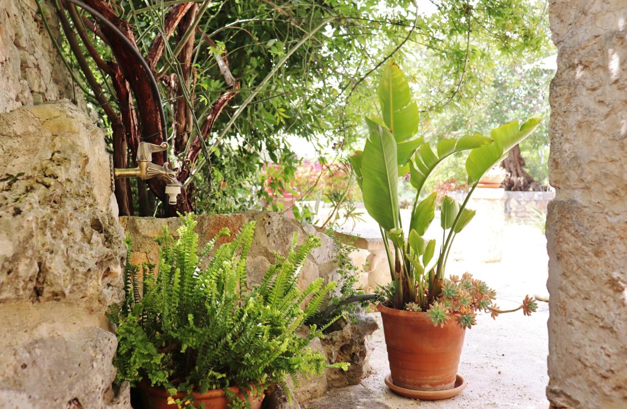 Trulli And Nature Antonelli Rum bild