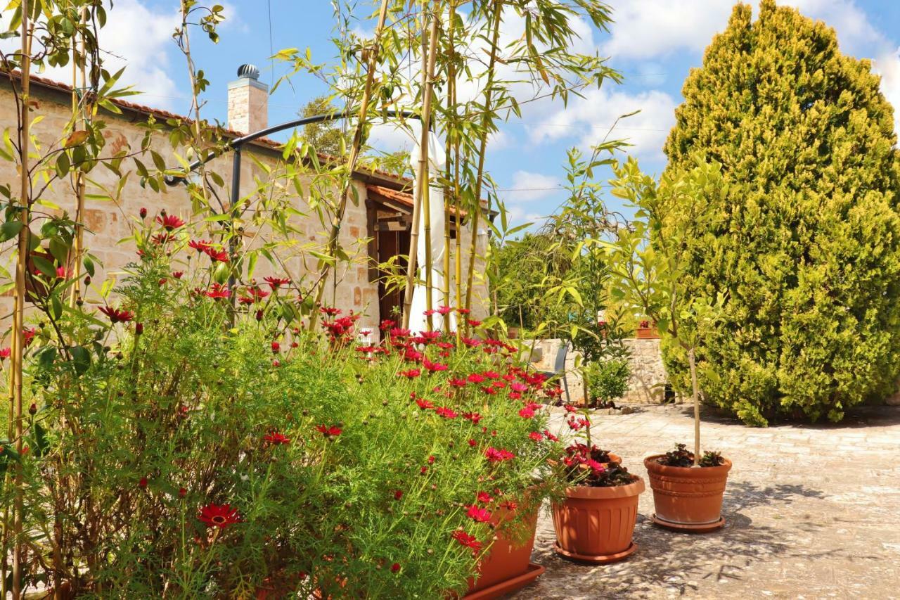 Trulli And Nature Antonelli Rum bild