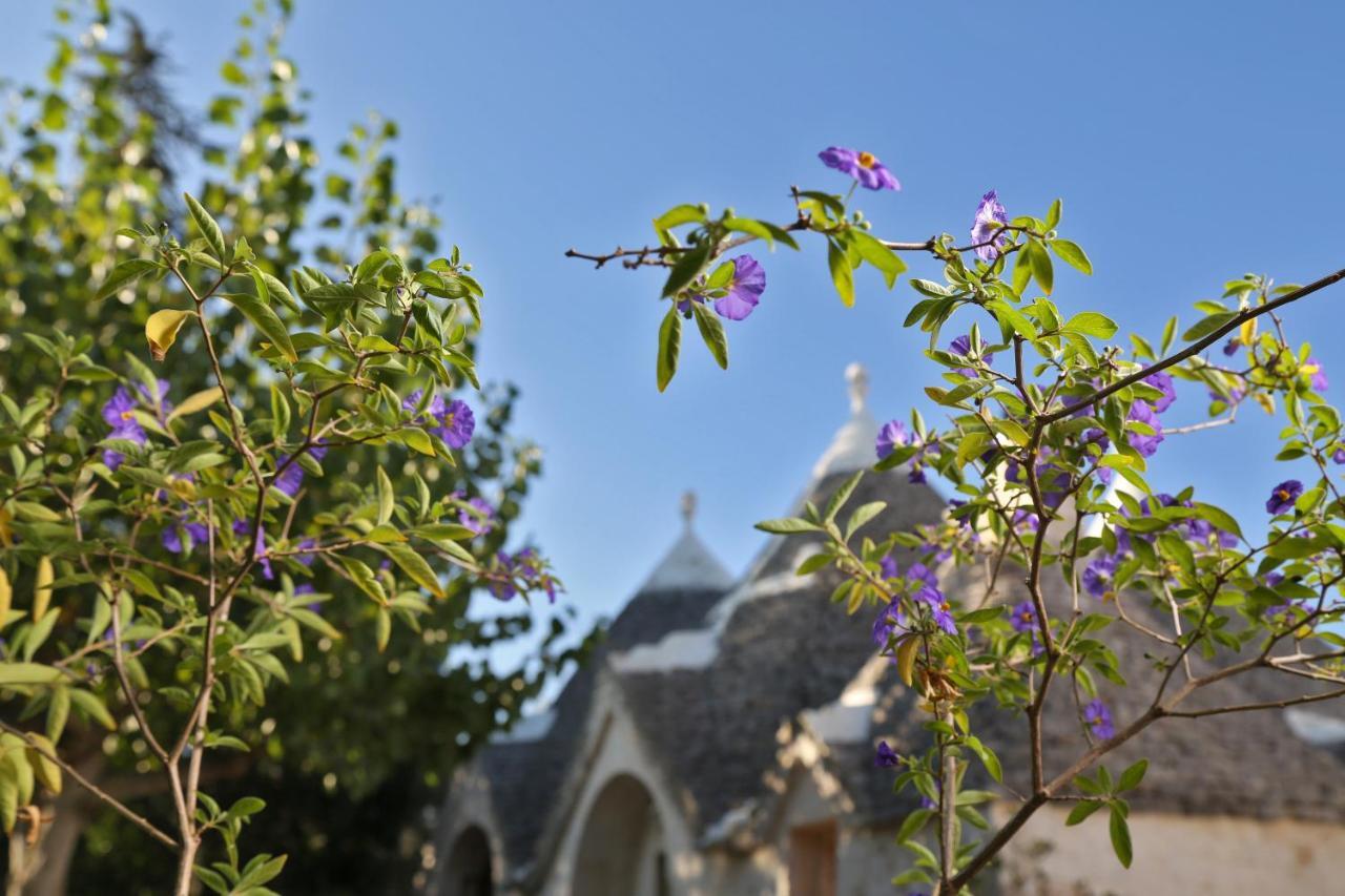 Trulli And Nature Antonelli Exteriör bild